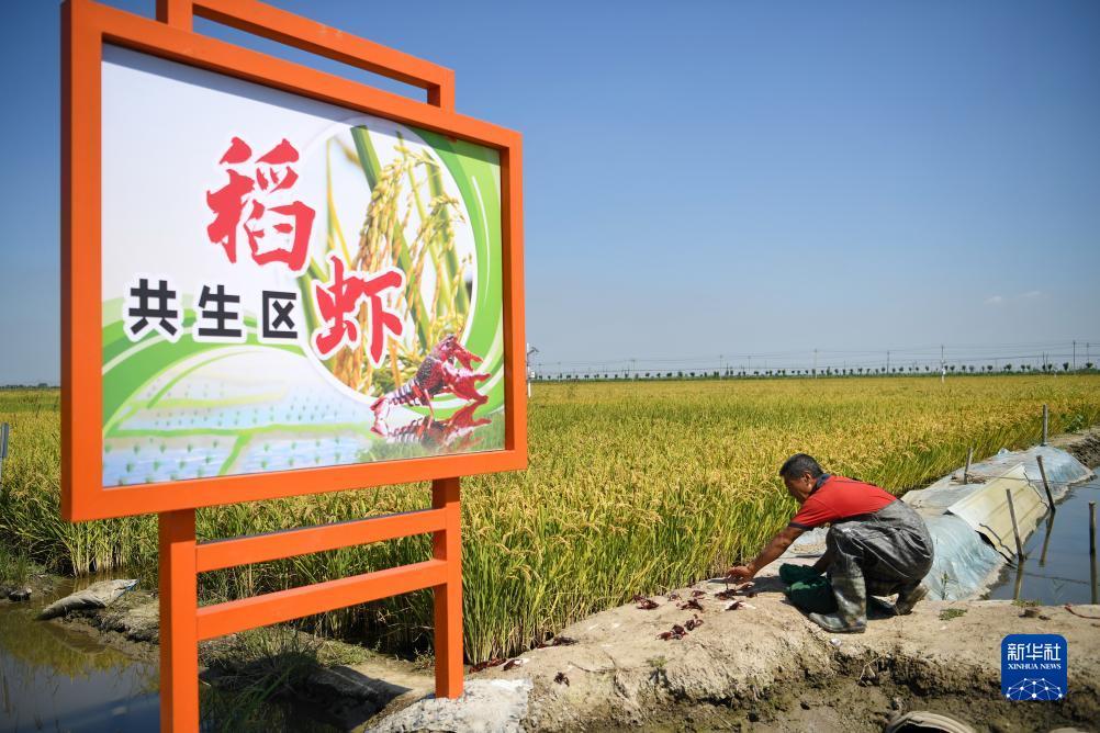 波克捕鱼海皇波塞冬出现的时间